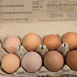 Fresh Farm Eggs