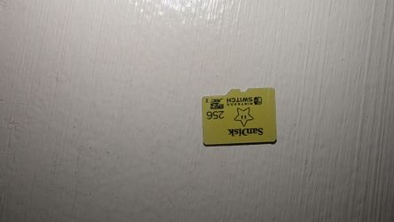 256 GB, SD SanDisk