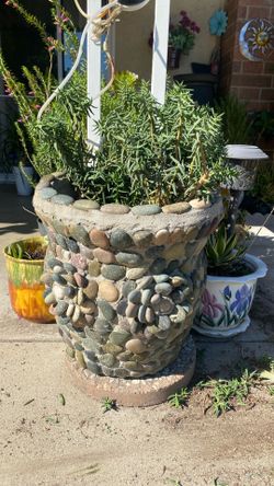 Rock planters