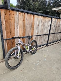 24' Mountain Bike (Specialized)