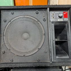 Fender 1272 Moniter Speaker