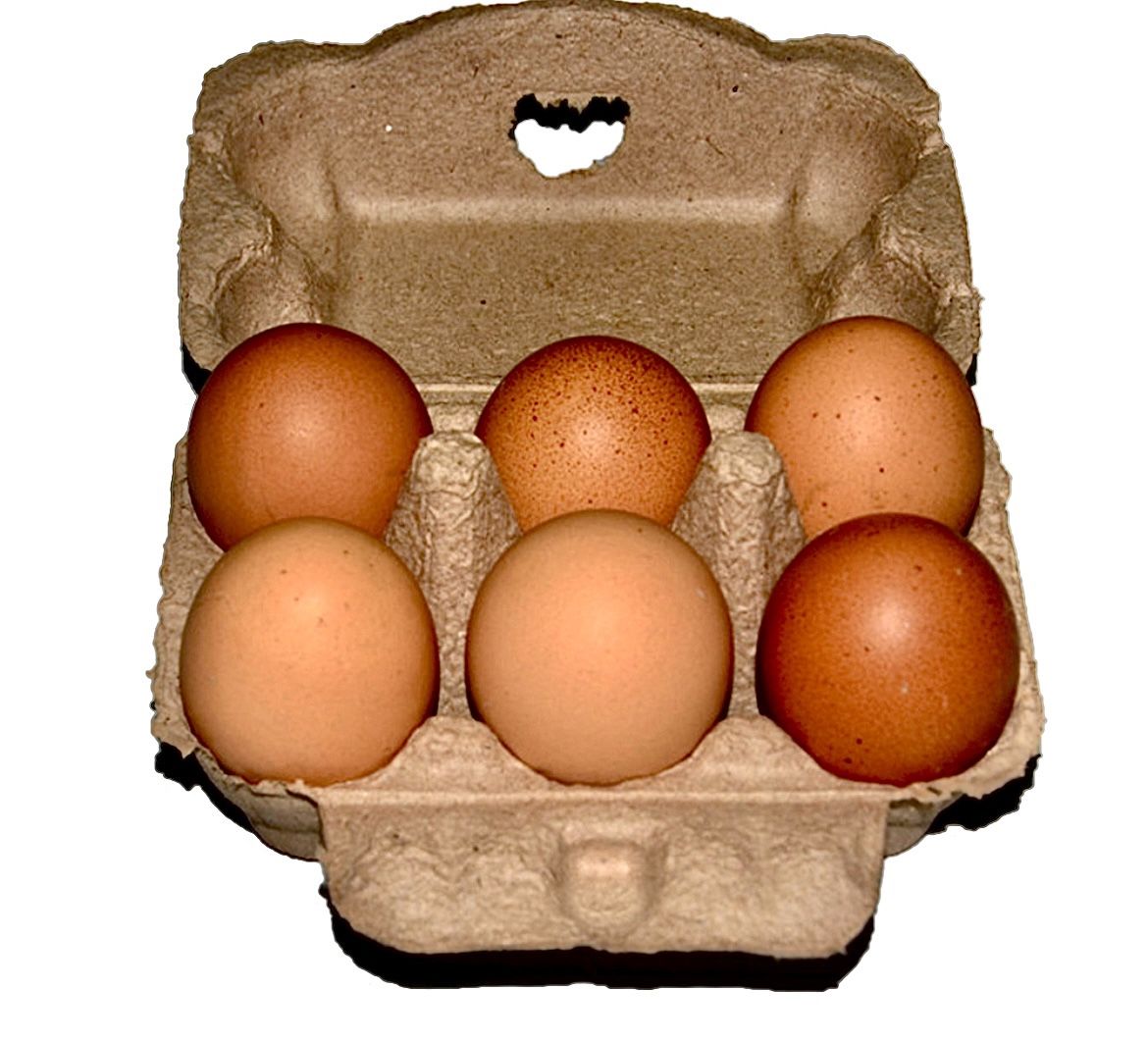 Local Daily Fresh Organic Free Range Eggs (6) 