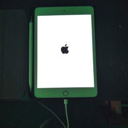 iPad Mini 5th Generation 64 GB Rose Gold