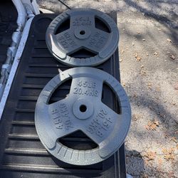 45lb Tri Grip 1” Weight Plates, Pair 