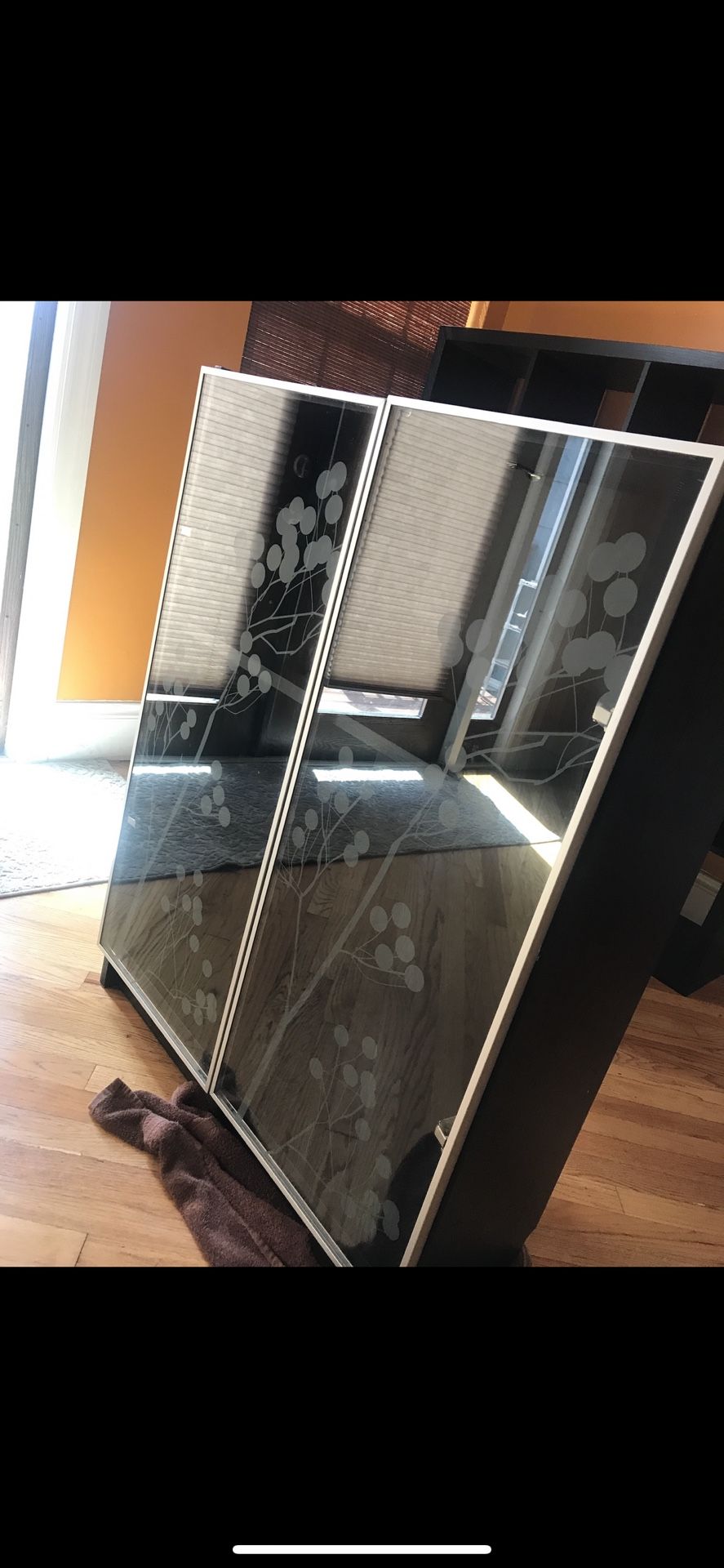 Double sided glass cabinet doors/ 2 wood shelves inside