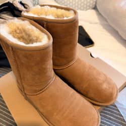 Women’s Classic Short UGG Boots 