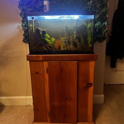 20 Gal Petco Fish Tank And Stand