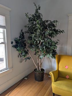 LARGE ARTIFICIAL FICUS TREE WITH BASKET PLANTER