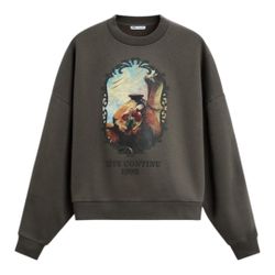 Zara Grey Cropped Sweatshirt with Artwork