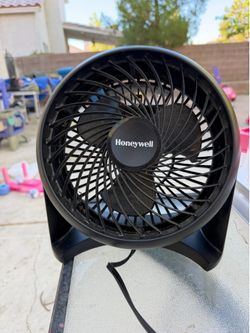 Fan