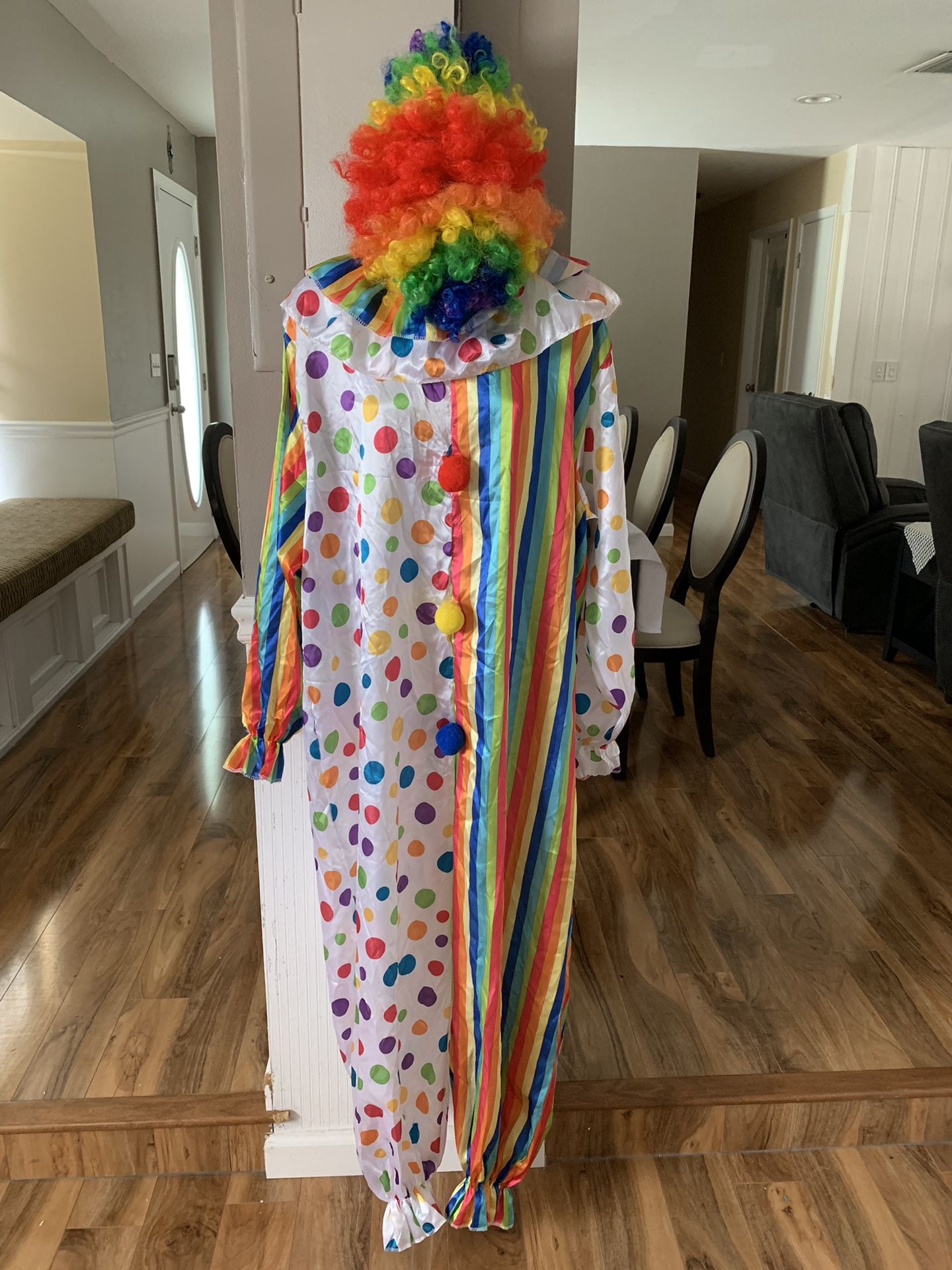 Clown Halloween costume