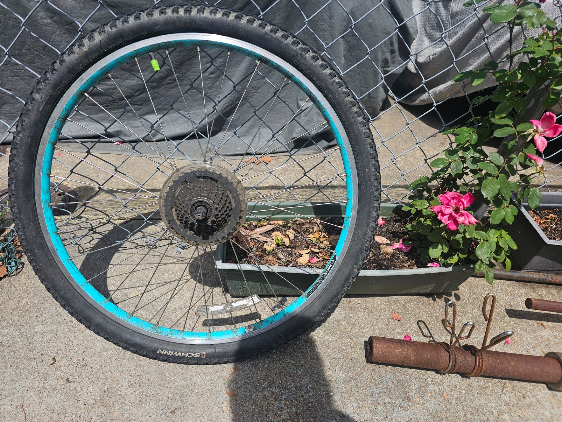 Wheel
