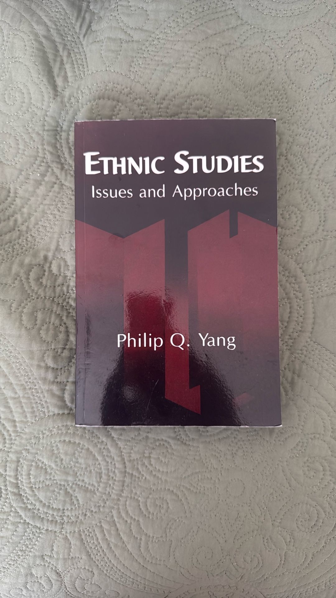 Ethnic Studies Book