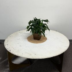 Marble coffee table