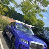 Supercars of New York