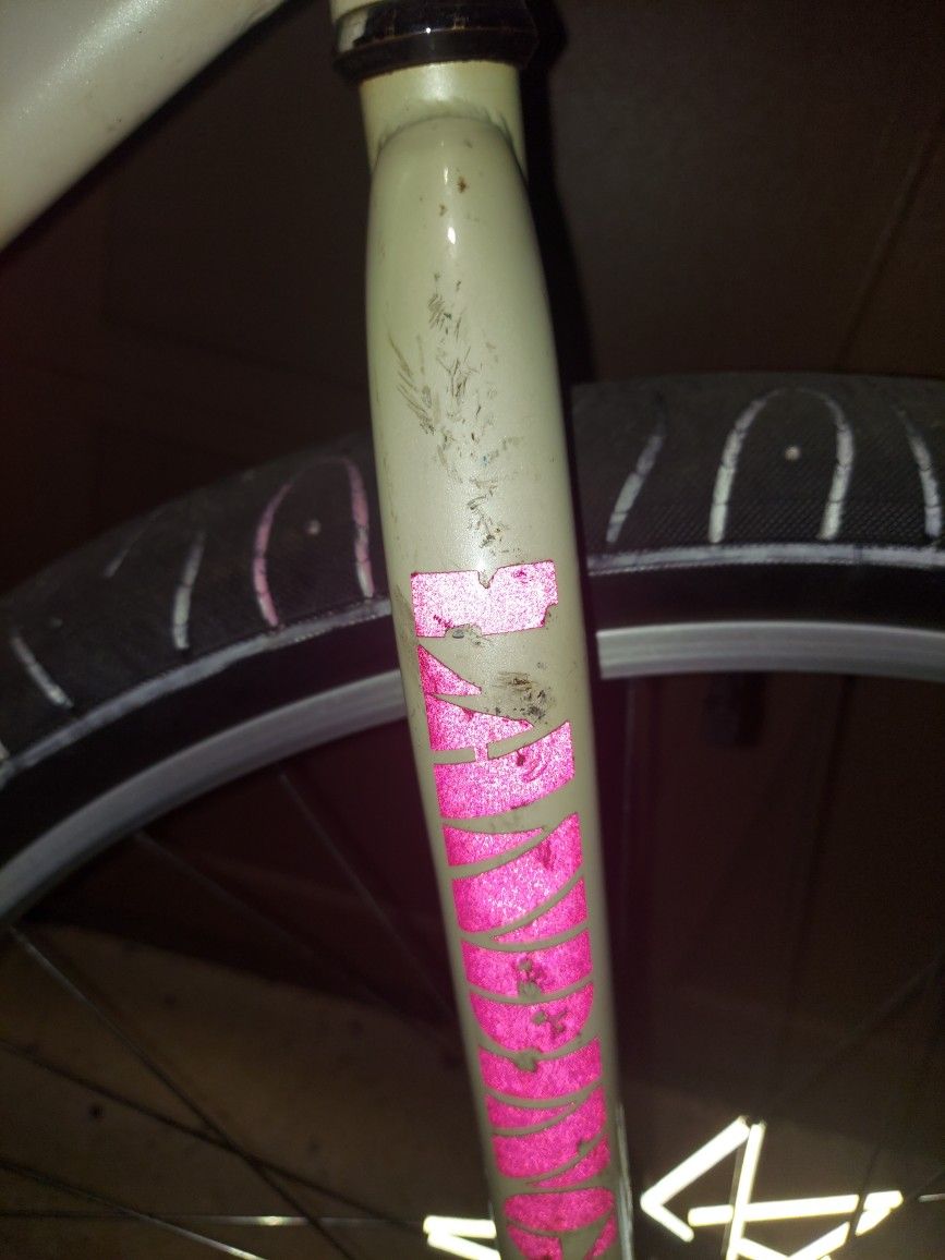 2023 Se Bike Big Ripper!!