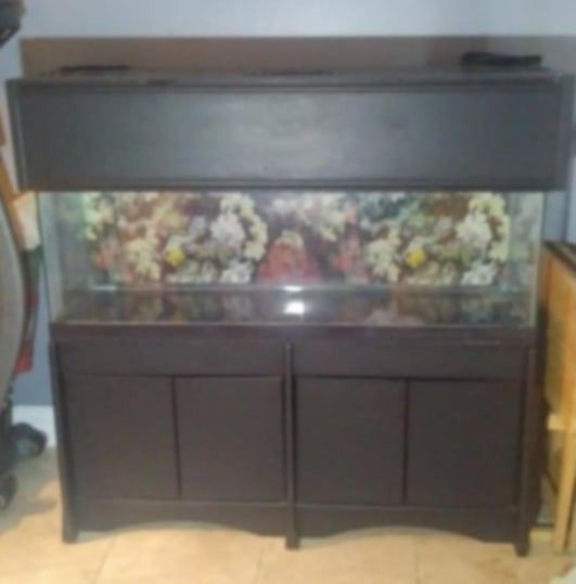 55 Fish Tank Gallon