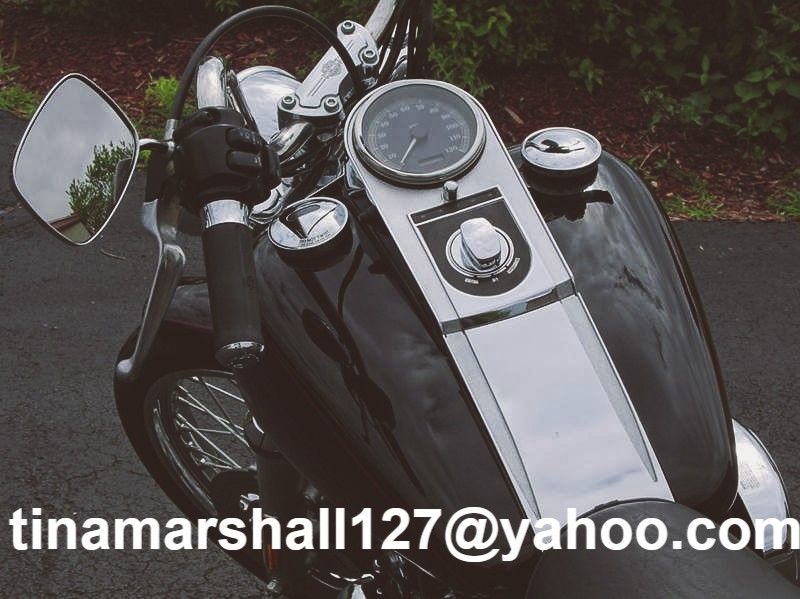 2002 Harley-Davidson