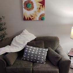 2 Seater Loveseat, With Picture And Throw Blanket 