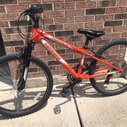 Nishiki Bike (24” Tires)