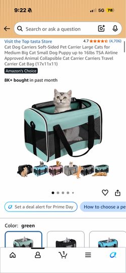 Cat carrier bag