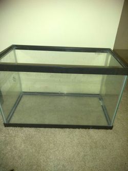 Fish tank