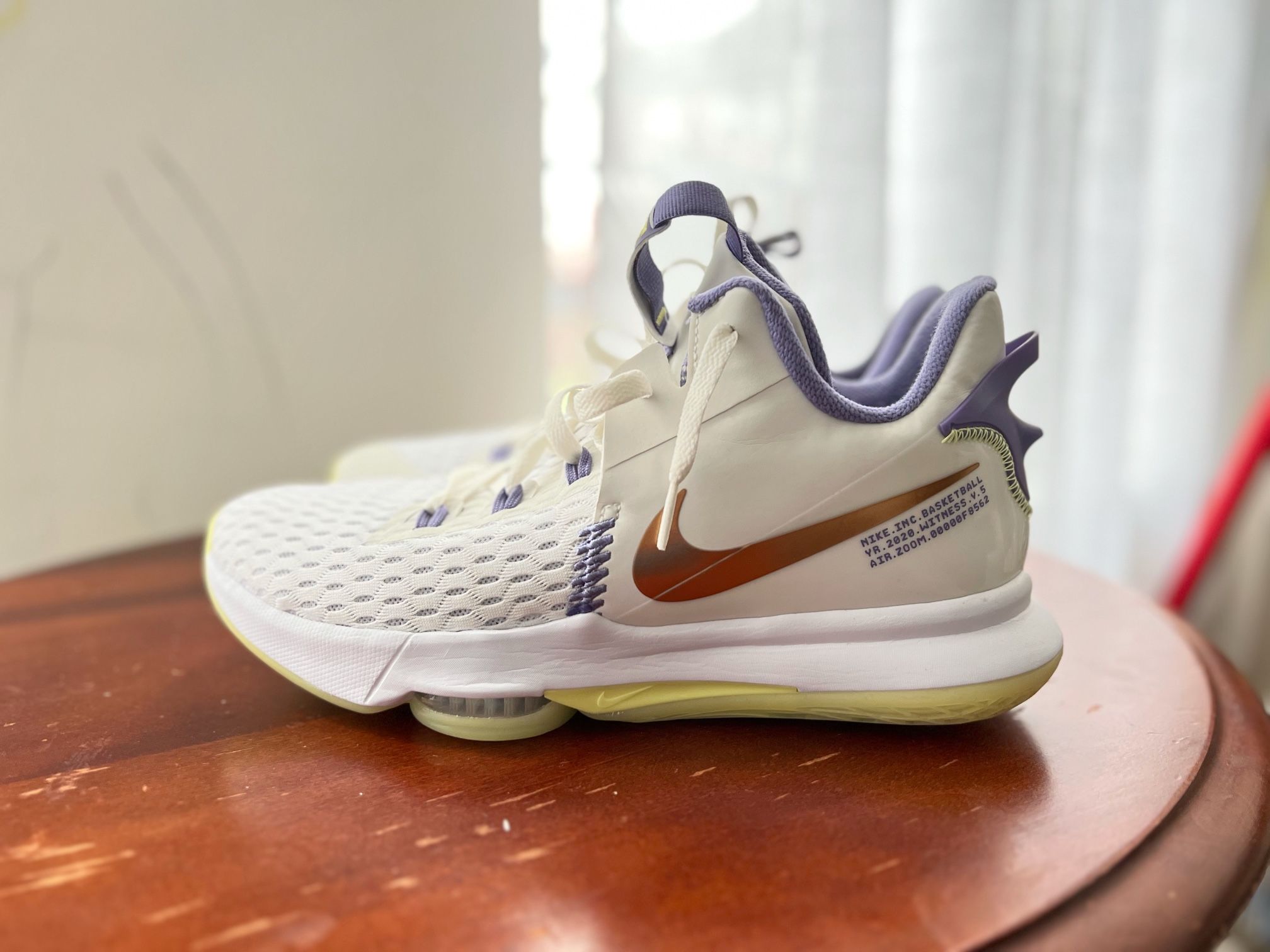 Nike Lebron Witness 5