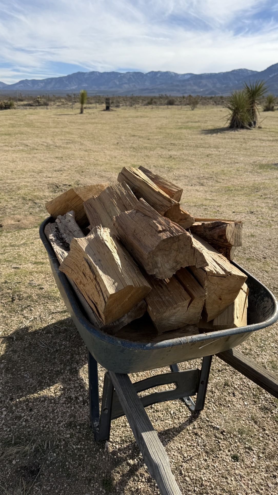 Firewood $25 Each Wheelbarrow