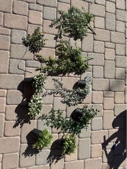 Assortment of Artificial Plants! IKEA