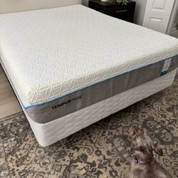 Temper-pedic mattress