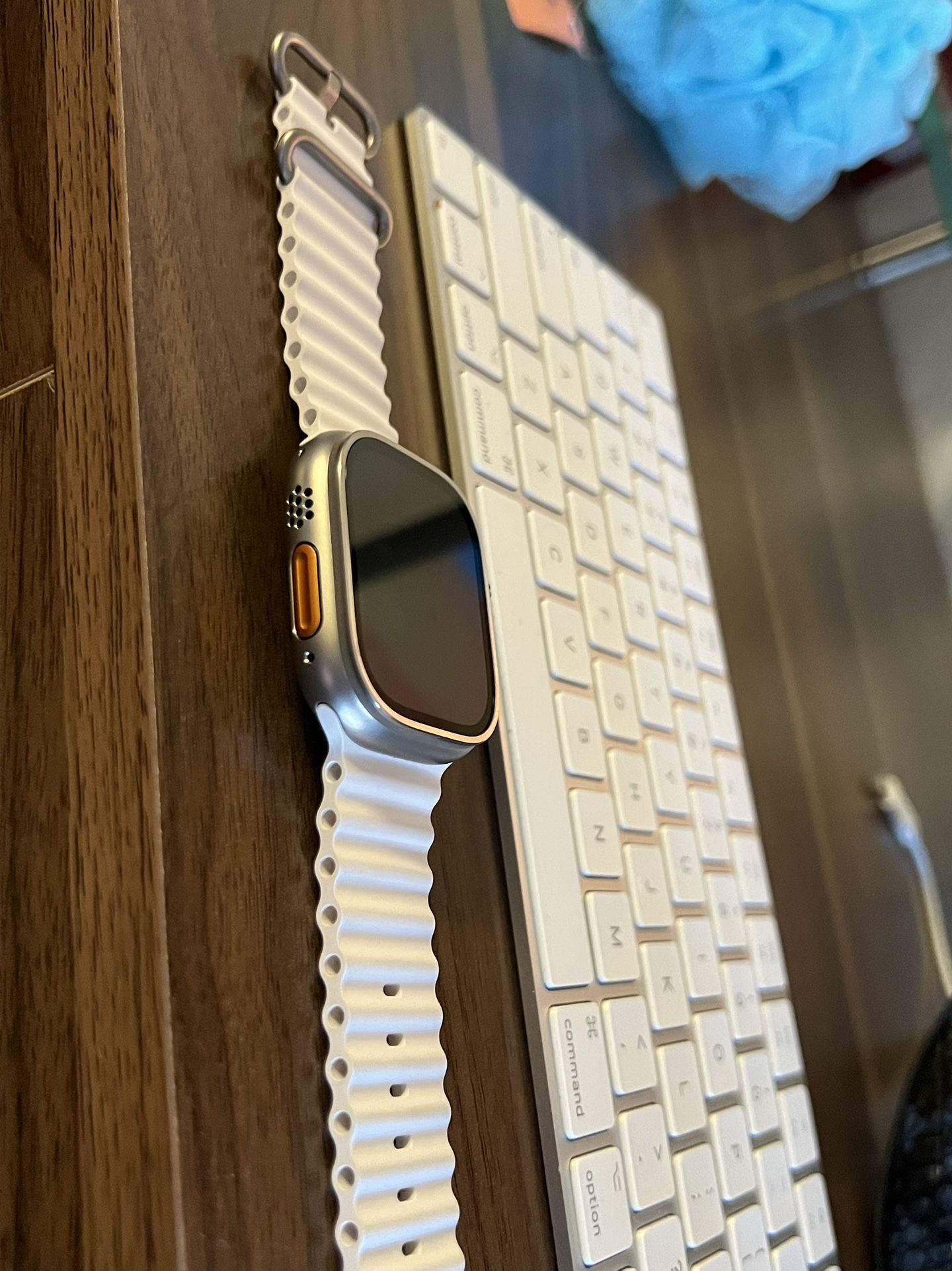 Apple Watch Ultra 2 