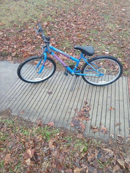 Road Master Mt Fury Bike