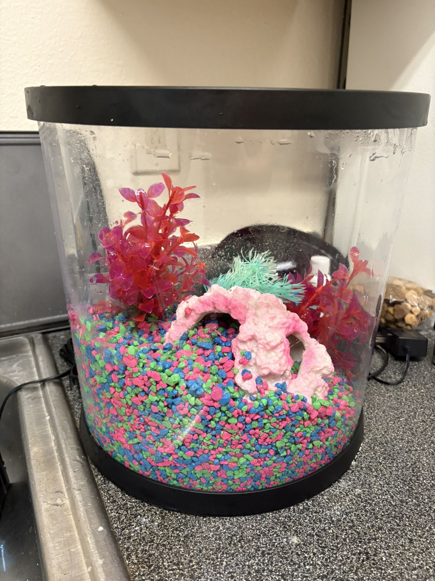 Fish Tank 