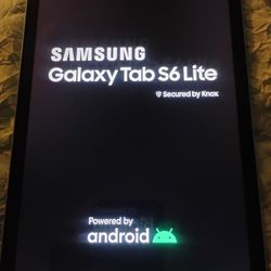 Samsung Galaxy Tab S6 Lite