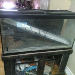 75 Gallon Fish Tank And Stand 