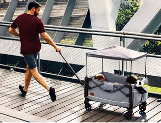 Brand new foldable stroller wagon - carry one size