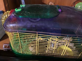 Hamster cage