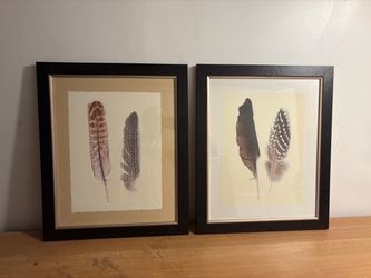 Set of 2 Framed Feather Art Prints