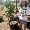Happy garden