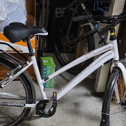 Adult Bicycle