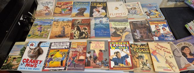 Children Chapter Books