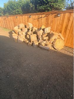 Freshly cut wood
