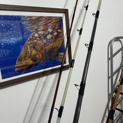 Seeker White Tiger Rods Fishing 