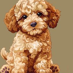 Pupp ***clothing for Puppies**