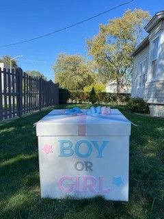 Gender Reveal Balloon Box