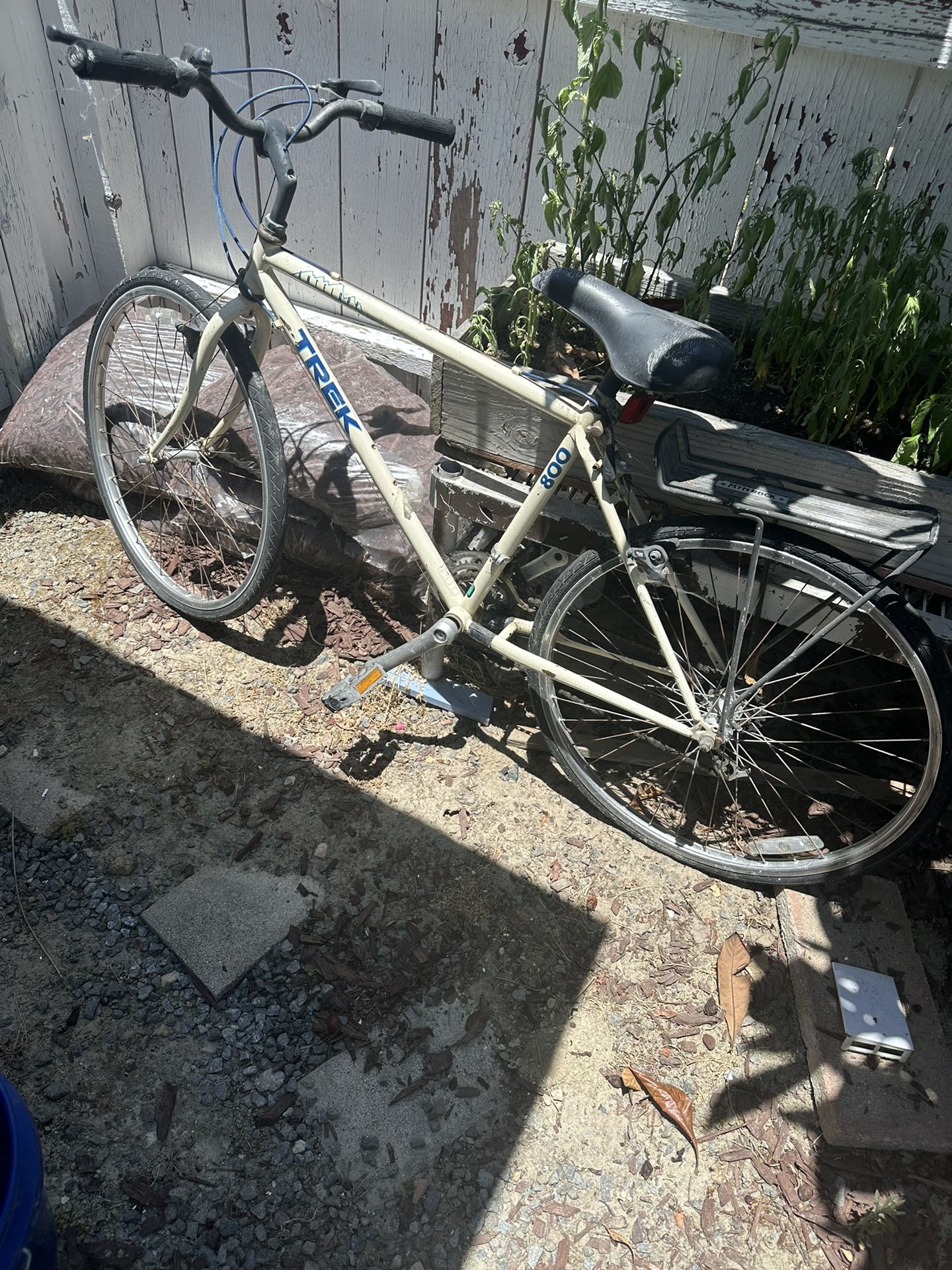 two beach cruises, Dirt back