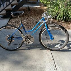 Custom Schiwwn Bike This Is A 24 Inch Frame 