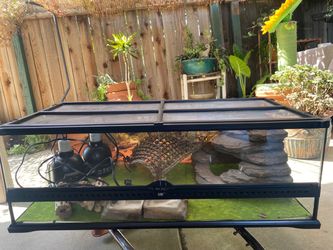 Reptile Tank