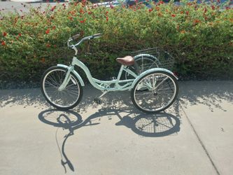 Schwinn meridian