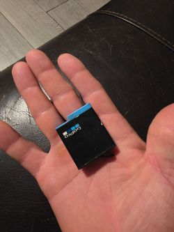 Gopro 8 battery